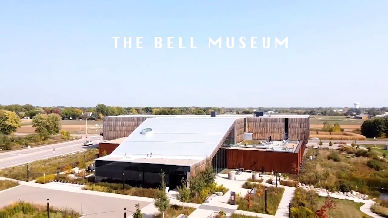 Still from The Bell Museum